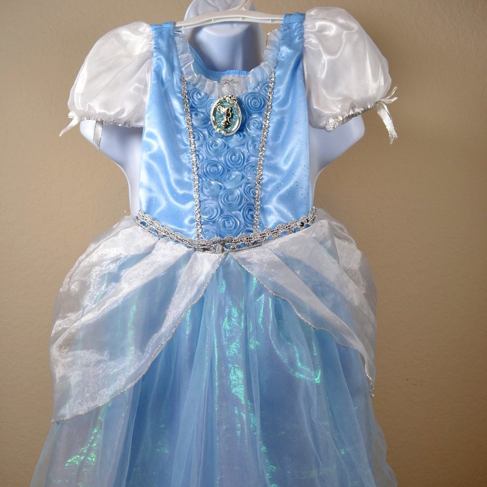 Cinderella Costume